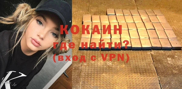 гидра Арсеньев