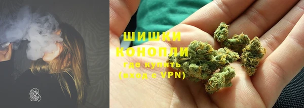гидра Арсеньев