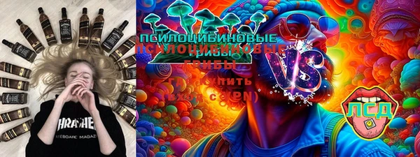 гидра Арсеньев