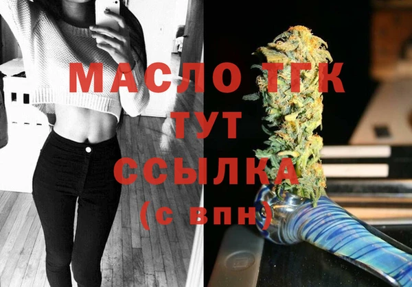 гидра Арсеньев