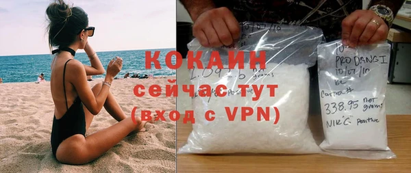хмурый Алзамай
